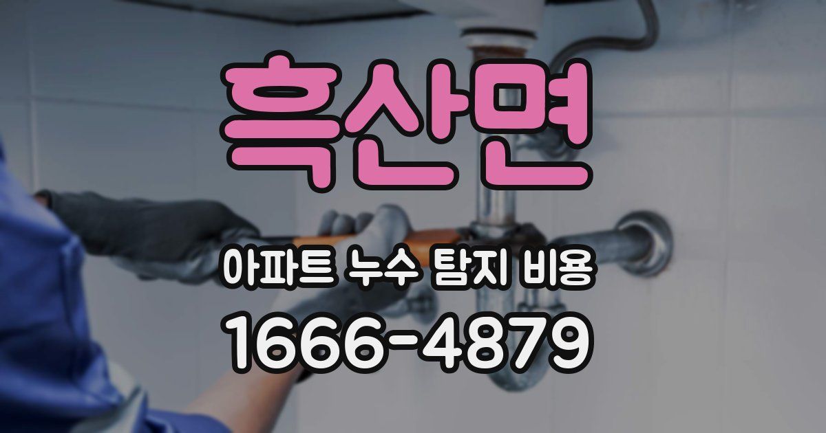 흑산면 아파트 누수 탐지 비용