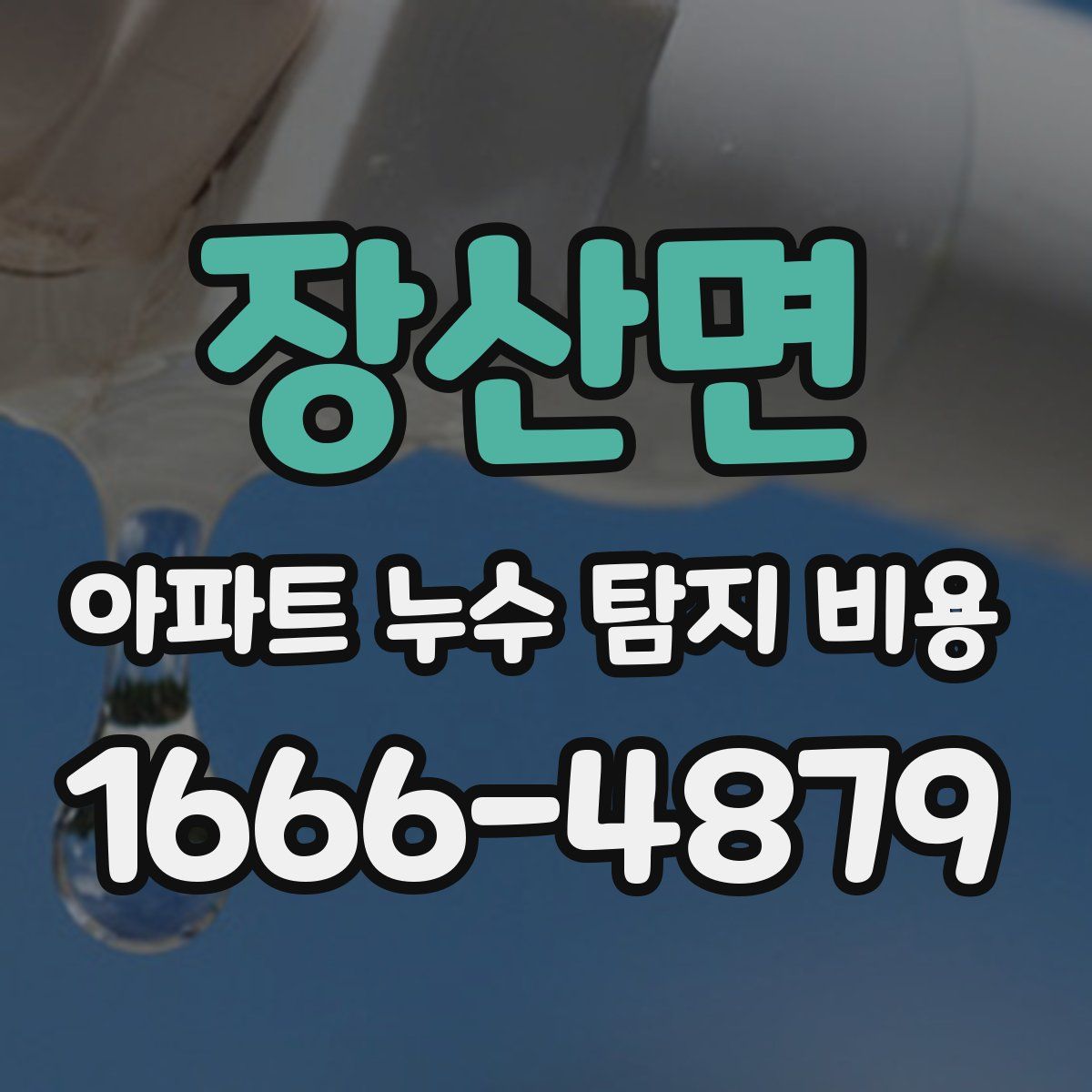 장산면 아파트 누수 탐지 비용