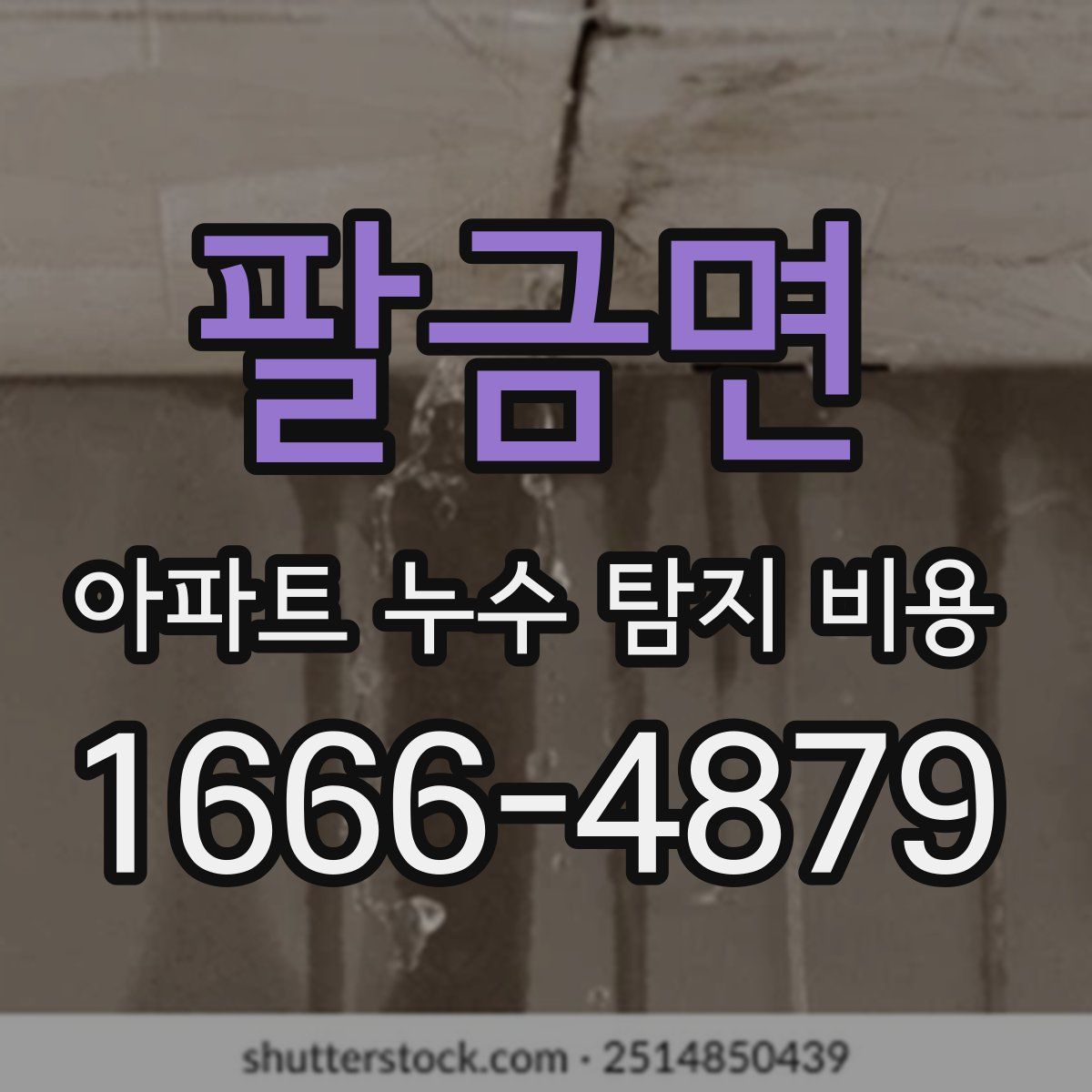 팔금면 아파트 누수 탐지 비용