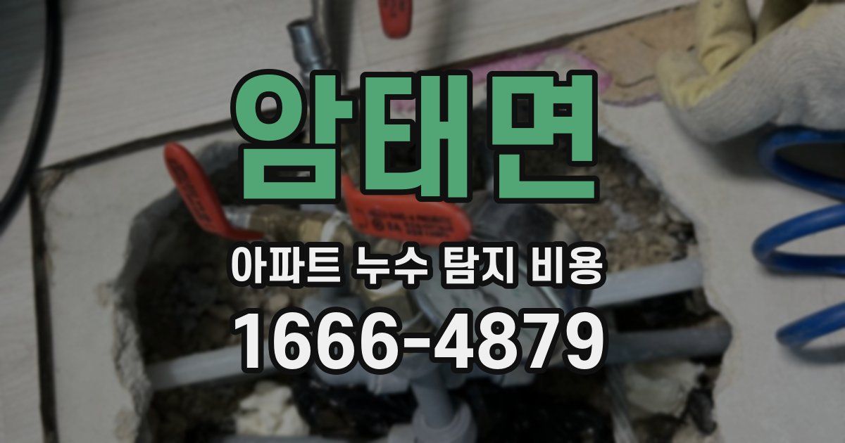 암태면 아파트 누수 탐지 비용