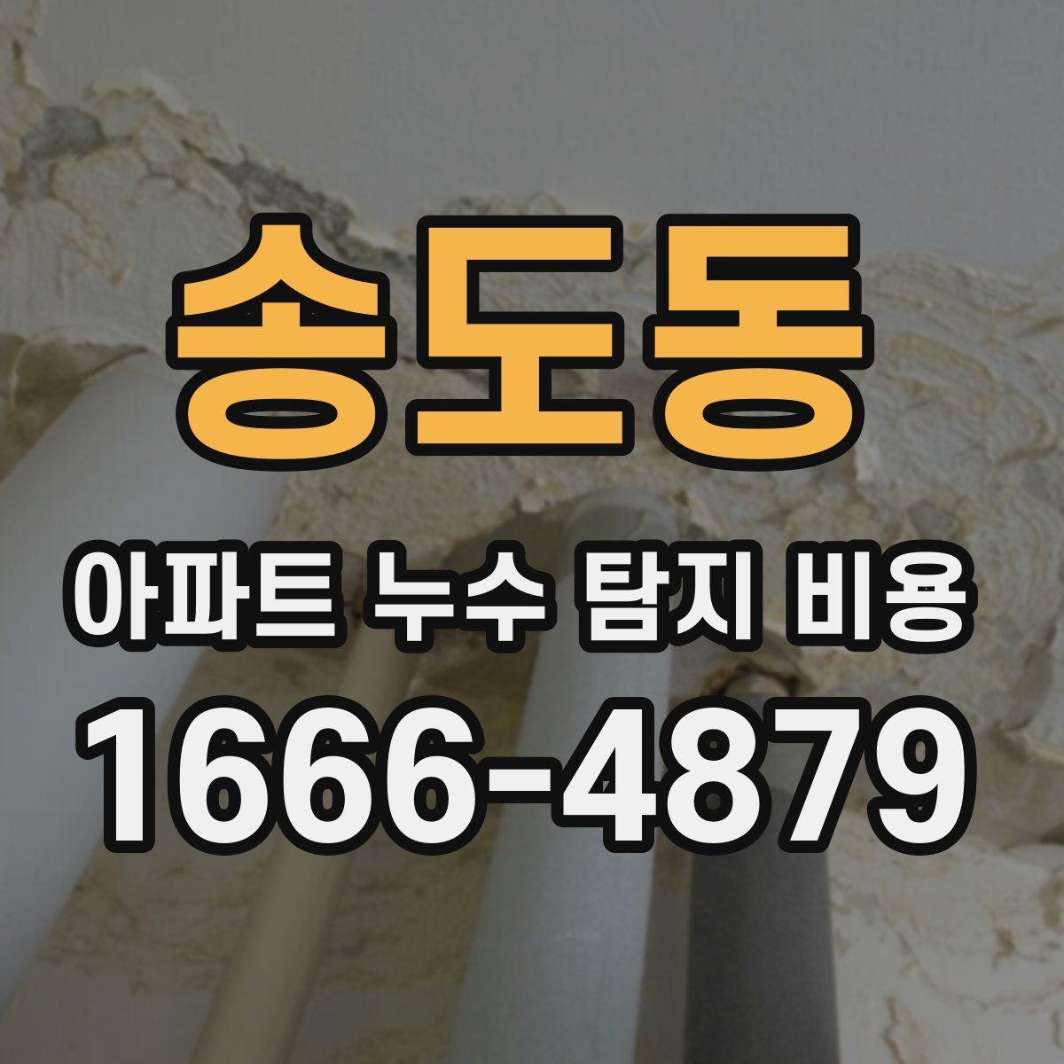 송도동 아파트 누수 탐지 비용