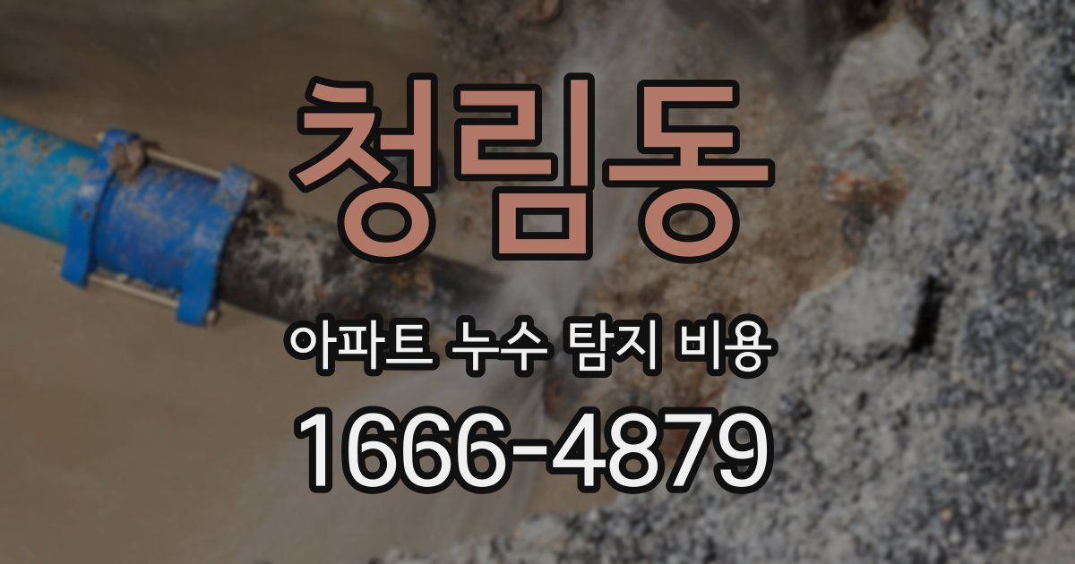 청림동 아파트 누수 탐지 비용
