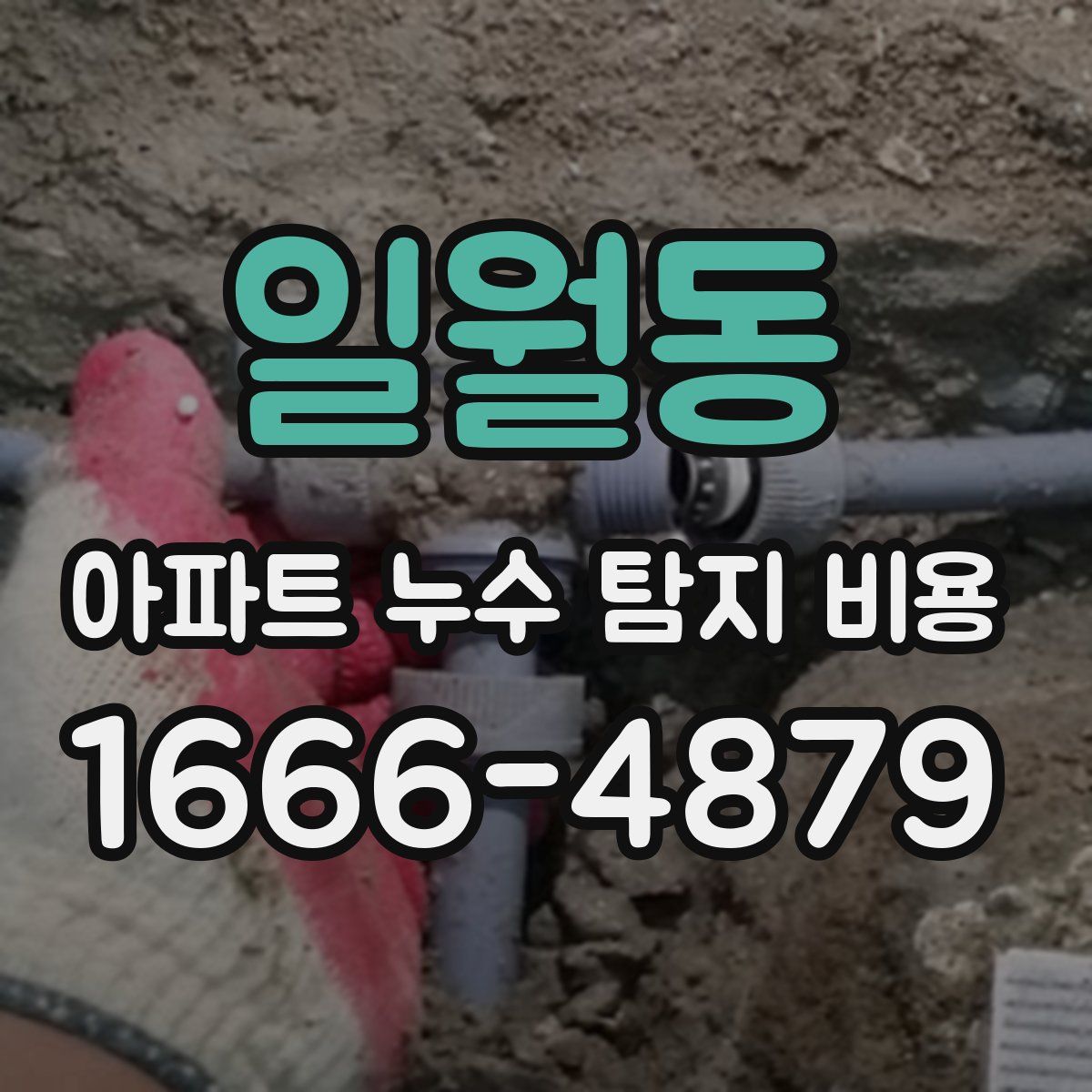 일월동 아파트 누수 탐지 비용