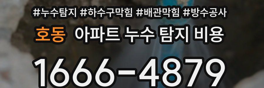 호동 아파트 누수 탐지 비용