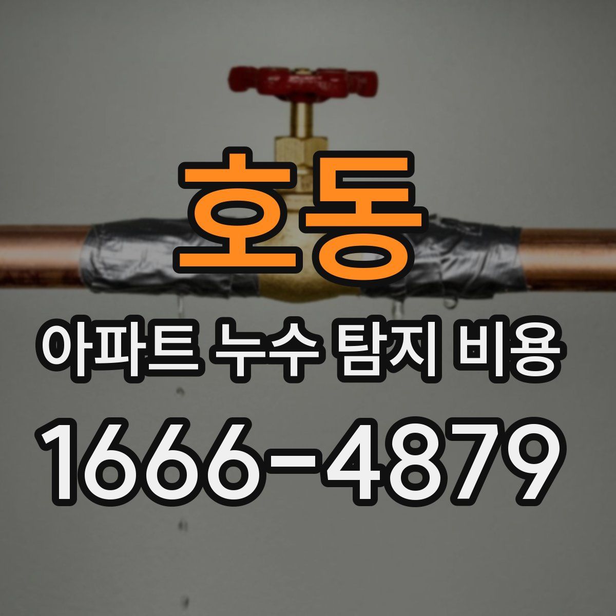 호동 아파트 누수 탐지 비용