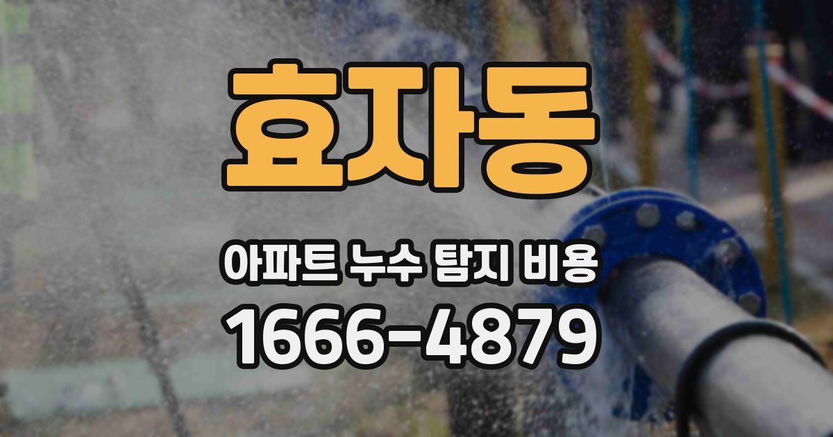 효자동 아파트 누수 탐지 비용