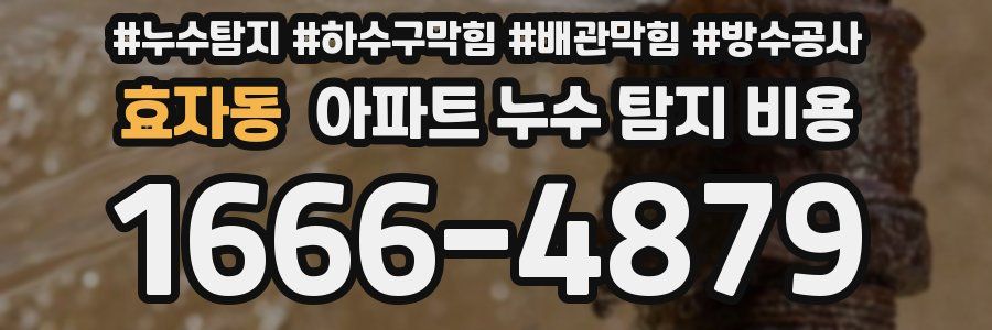 효자동 아파트 누수 탐지 비용