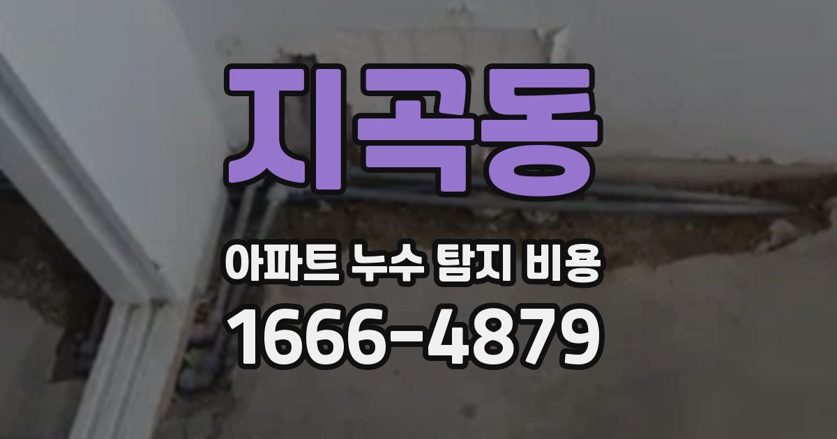 지곡동 아파트 누수 탐지 비용