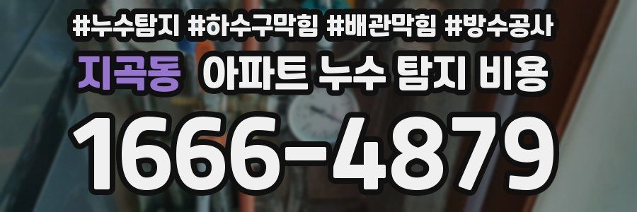지곡동 아파트 누수 탐지 비용