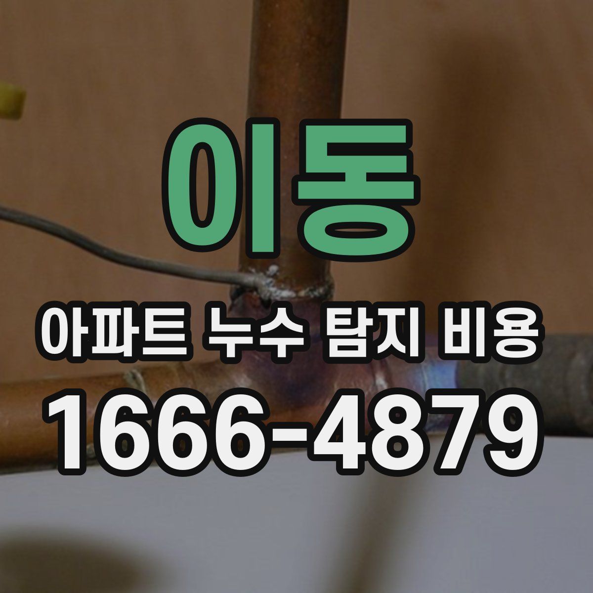 이동 아파트 누수 탐지 비용