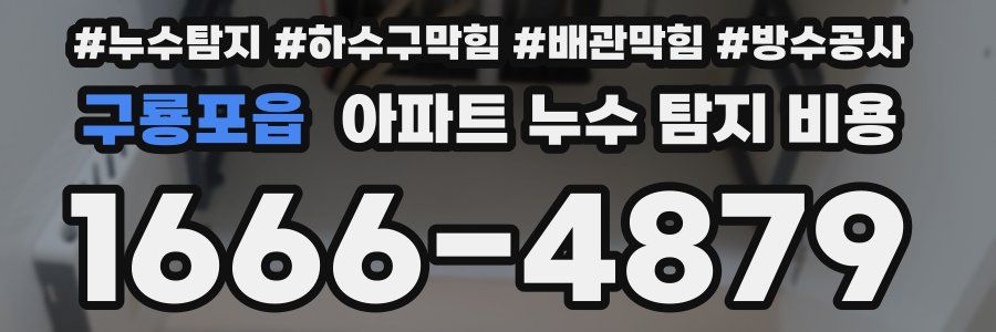 구룡포읍 아파트 누수 탐지 비용