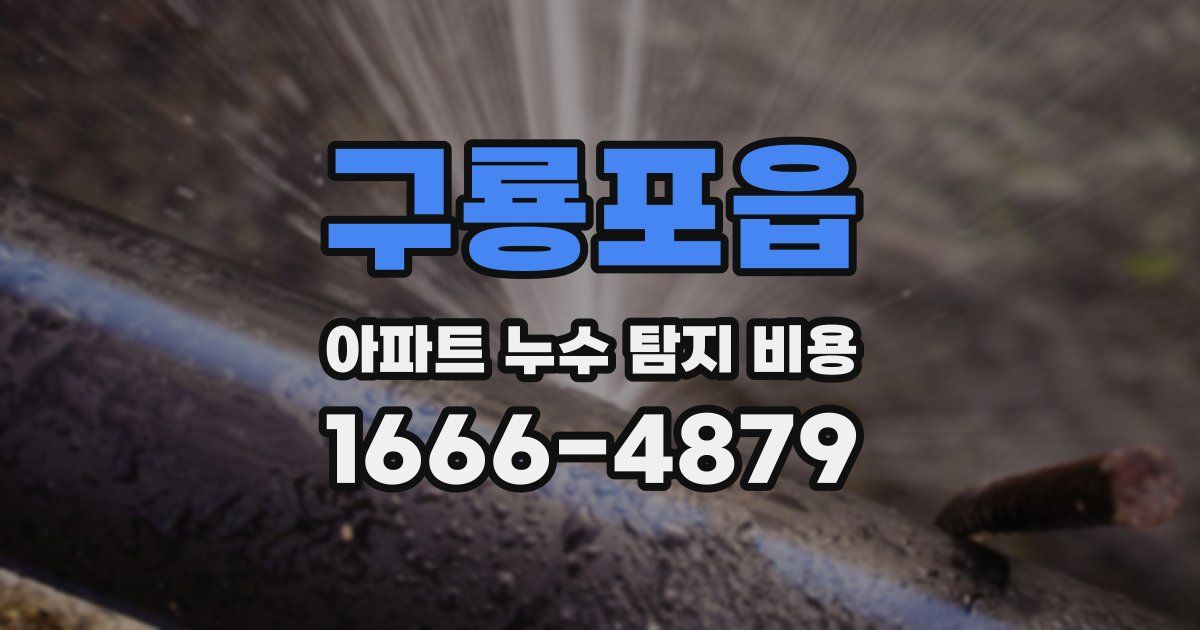 구룡포읍 아파트 누수 탐지 비용
