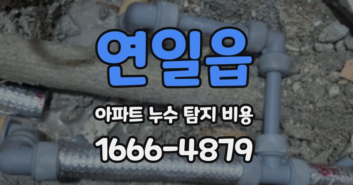 연일읍 아파트 누수 탐지 비용