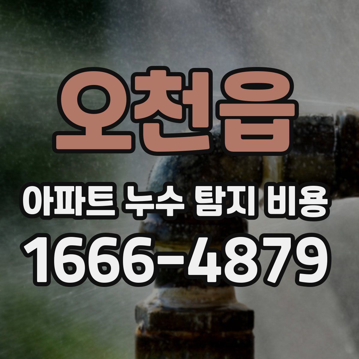 오천읍 아파트 누수 탐지 비용