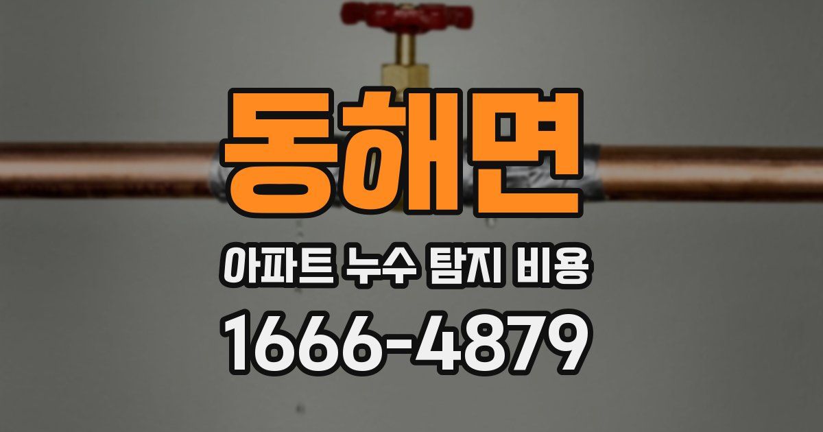 동해면 아파트 누수 탐지 비용