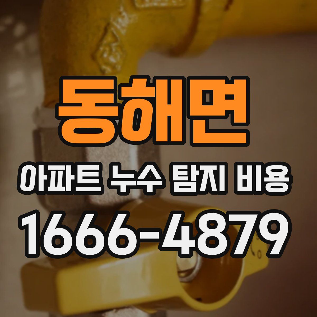 동해면 아파트 누수 탐지 비용