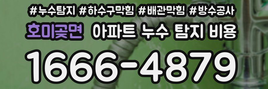 호미곶면 아파트 누수 탐지 비용