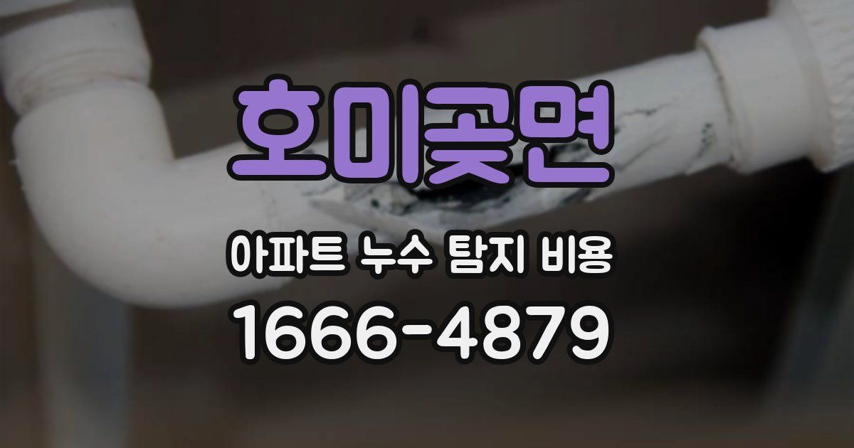 호미곶면 아파트 누수 탐지 비용