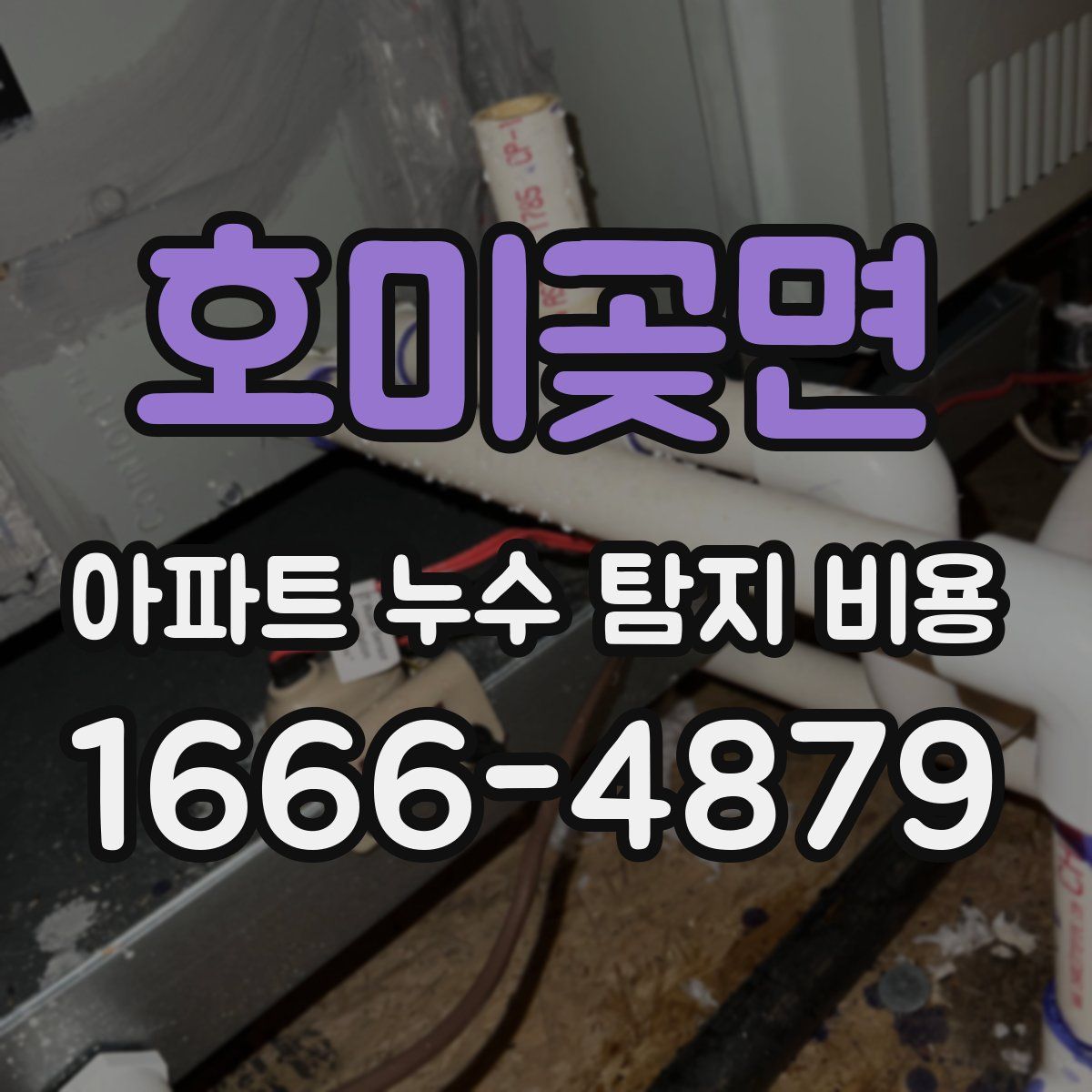 호미곶면 아파트 누수 탐지 비용