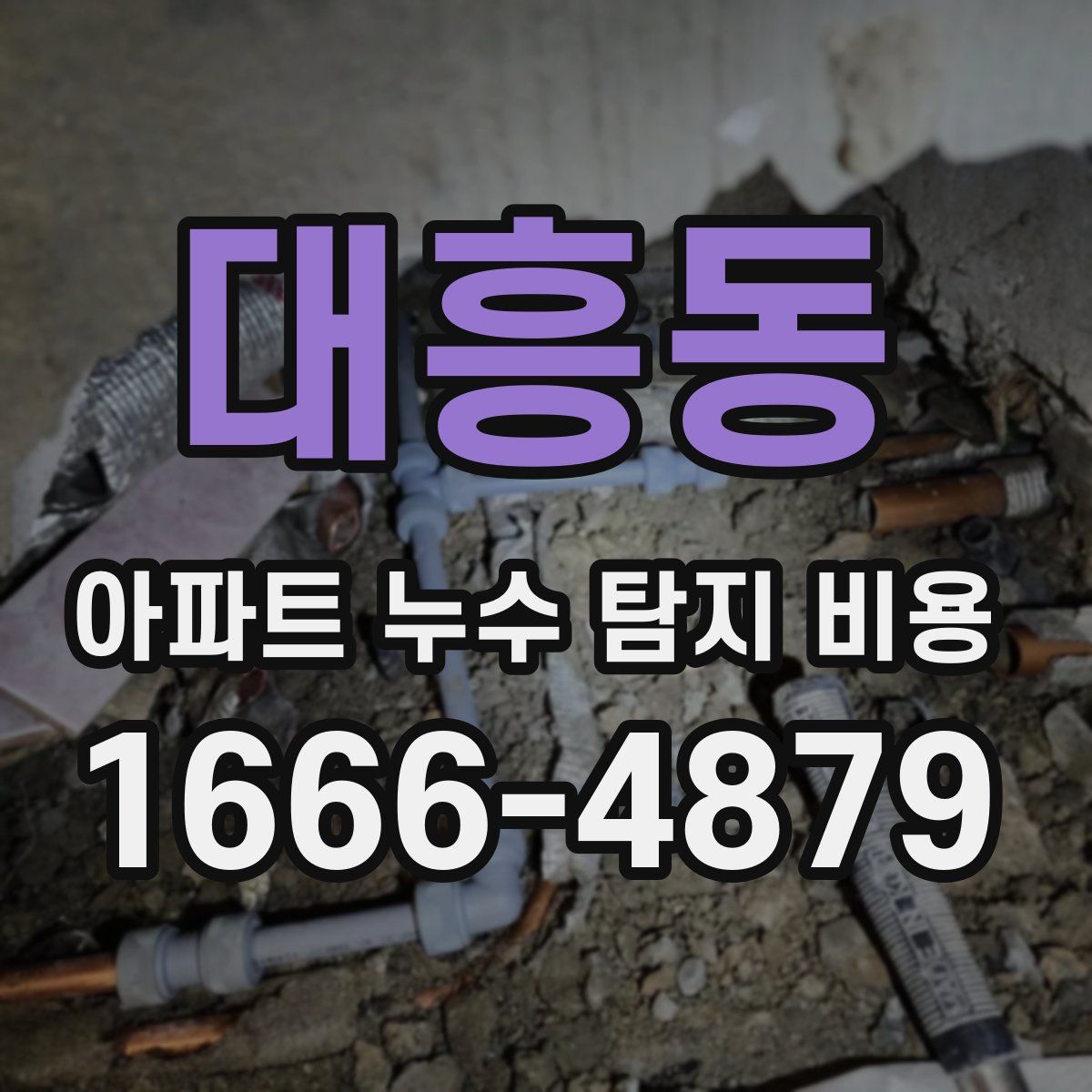 대흥동 아파트 누수 탐지 비용