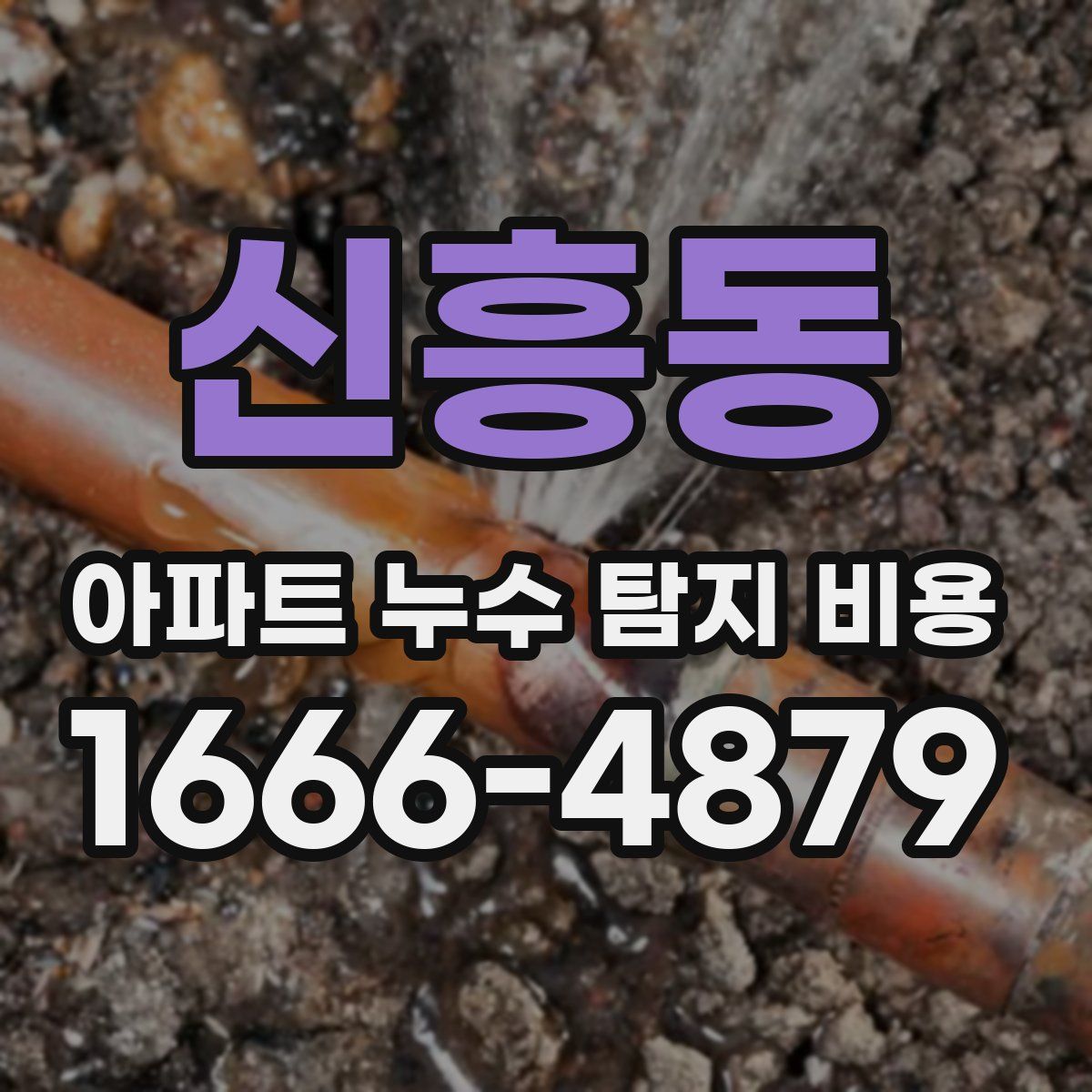 신흥동 아파트 누수 탐지 비용