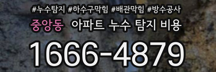 중앙동 아파트 누수 탐지 비용