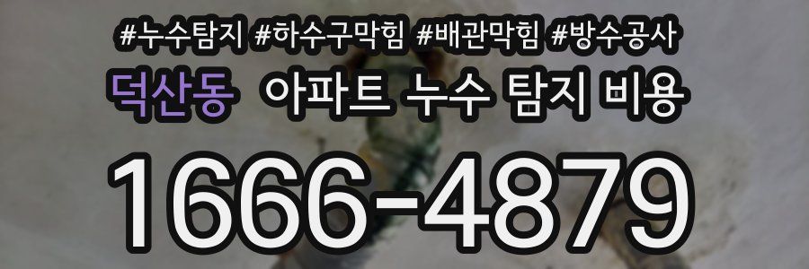 덕산동 아파트 누수 탐지 비용