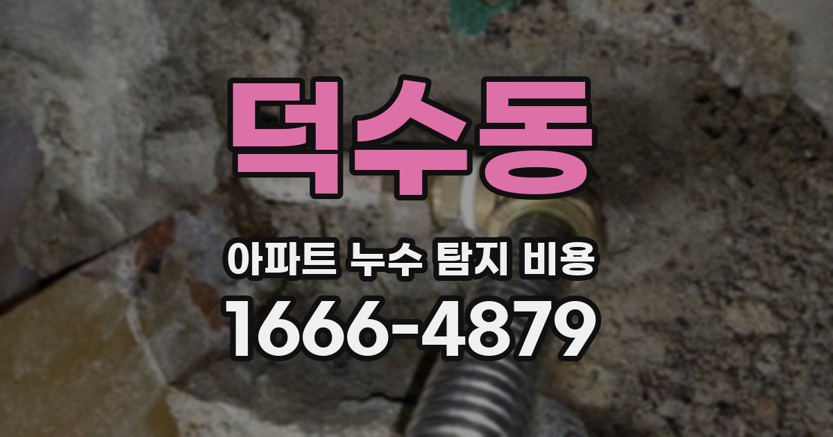 덕수동 아파트 누수 탐지 비용