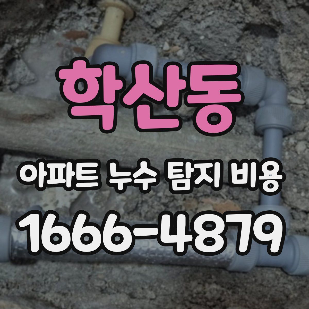 학산동 아파트 누수 탐지 비용