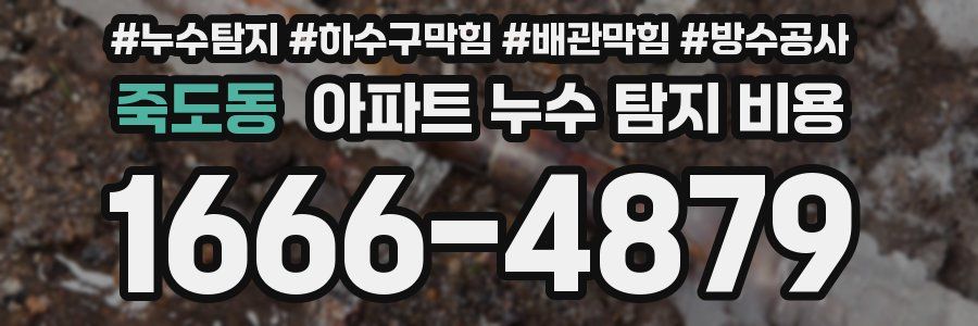 죽도동 아파트 누수 탐지 비용