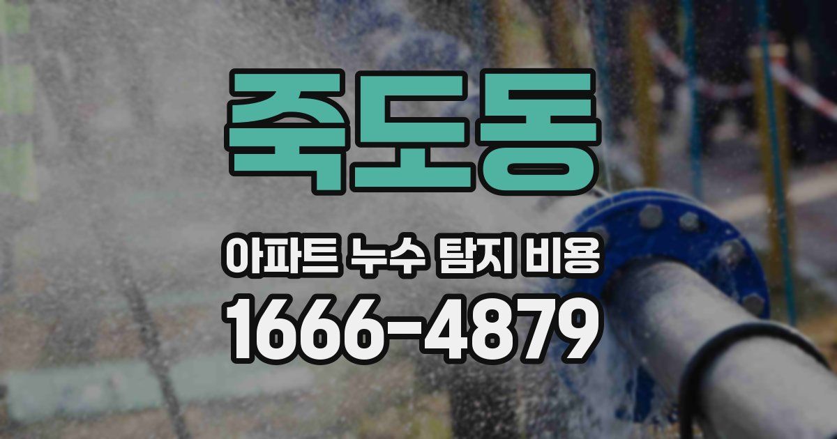죽도동 아파트 누수 탐지 비용