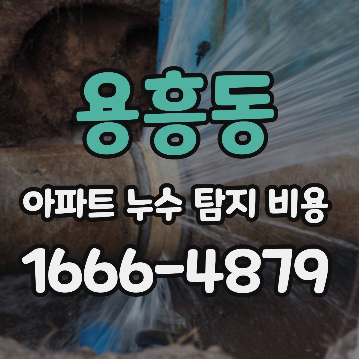 용흥동 아파트 누수 탐지 비용