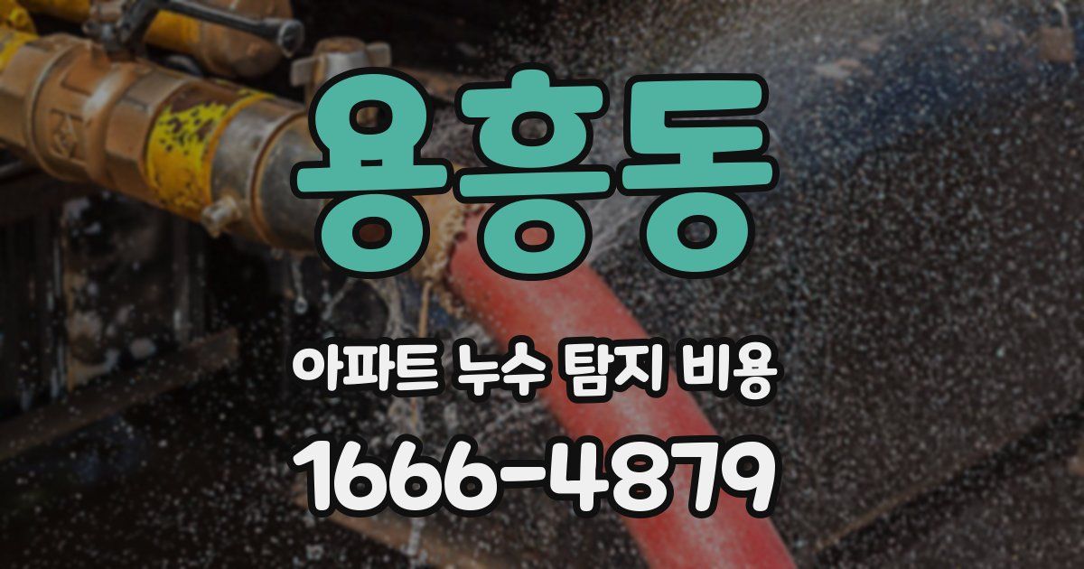 용흥동 아파트 누수 탐지 비용