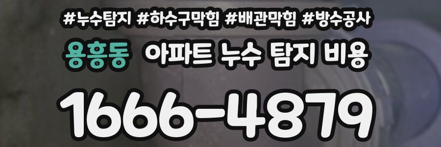용흥동 아파트 누수 탐지 비용