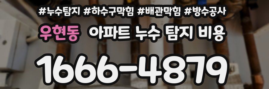 우현동 아파트 누수 탐지 비용