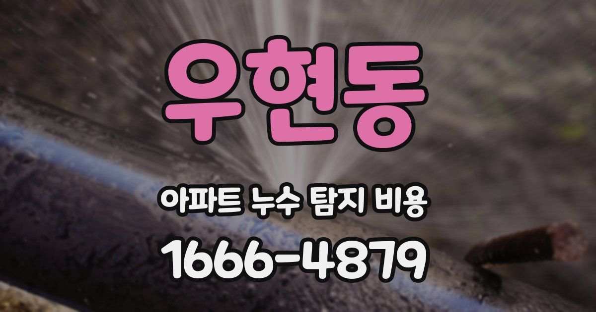 우현동 아파트 누수 탐지 비용