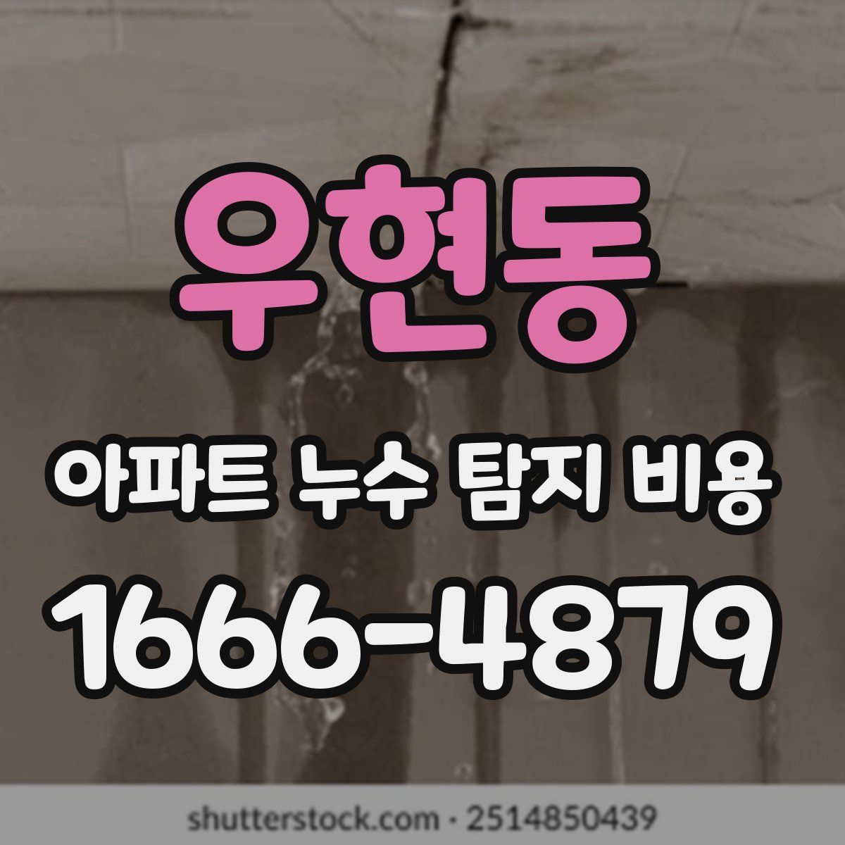 우현동 아파트 누수 탐지 비용