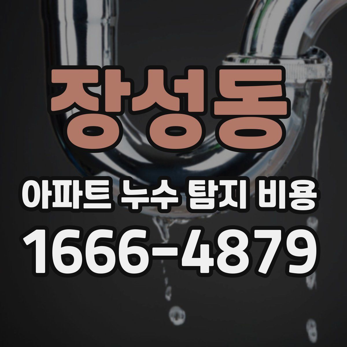 장성동 아파트 누수 탐지 비용