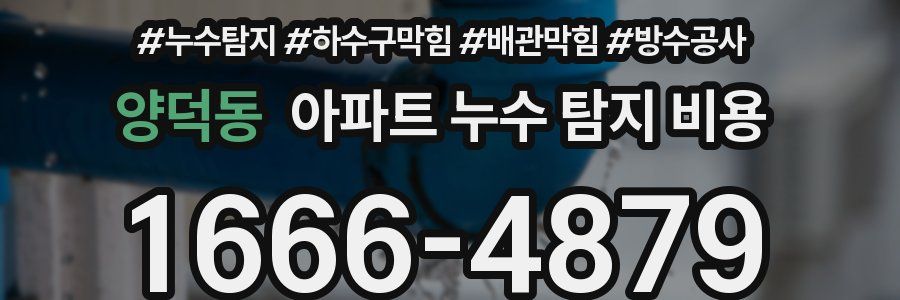 양덕동 아파트 누수 탐지 비용