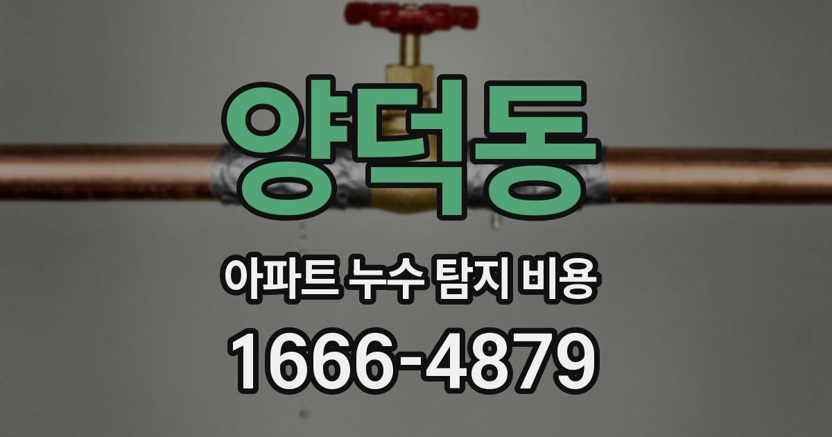 양덕동 아파트 누수 탐지 비용