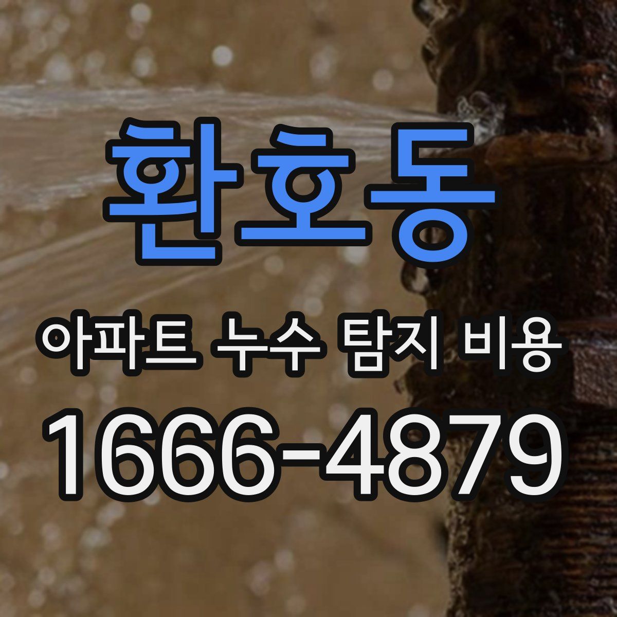환호동 아파트 누수 탐지 비용