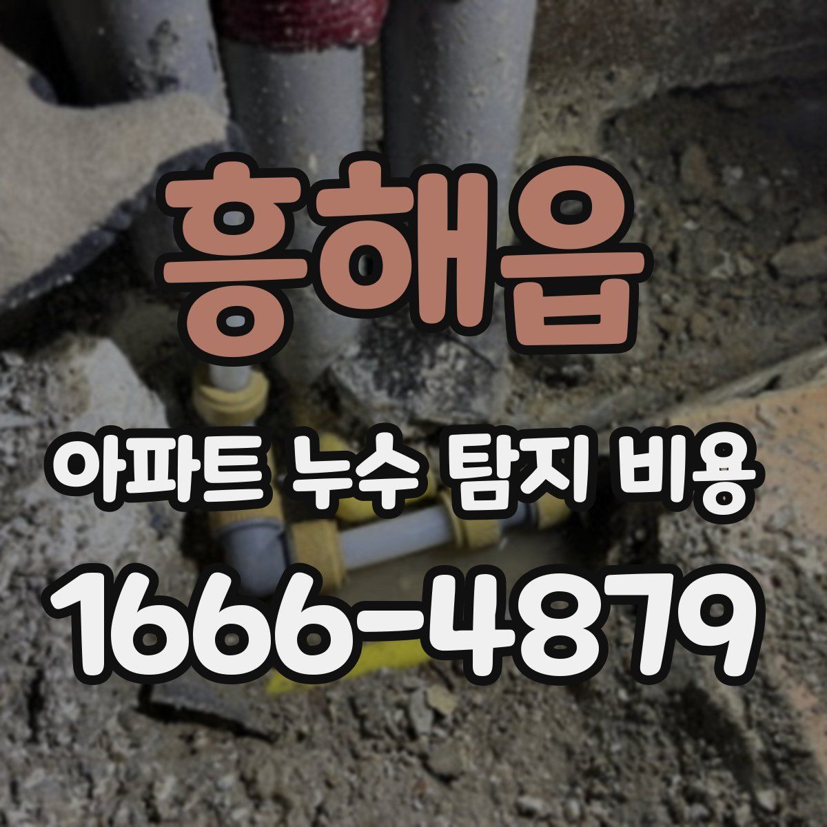 흥해읍 아파트 누수 탐지 비용