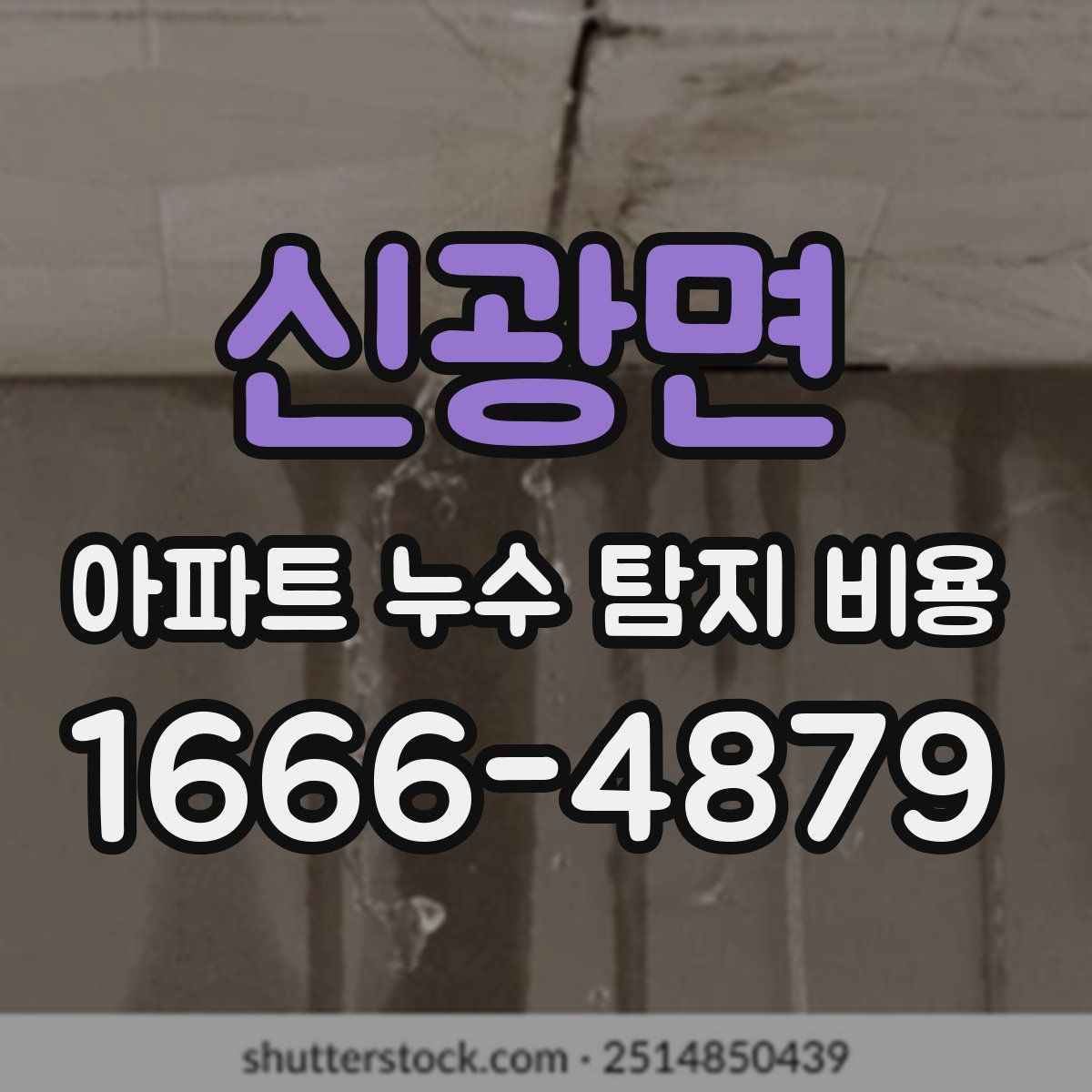 신광면 아파트 누수 탐지 비용