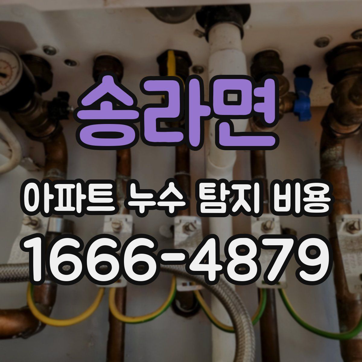 송라면 아파트 누수 탐지 비용