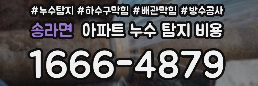 송라면 아파트 누수 탐지 비용