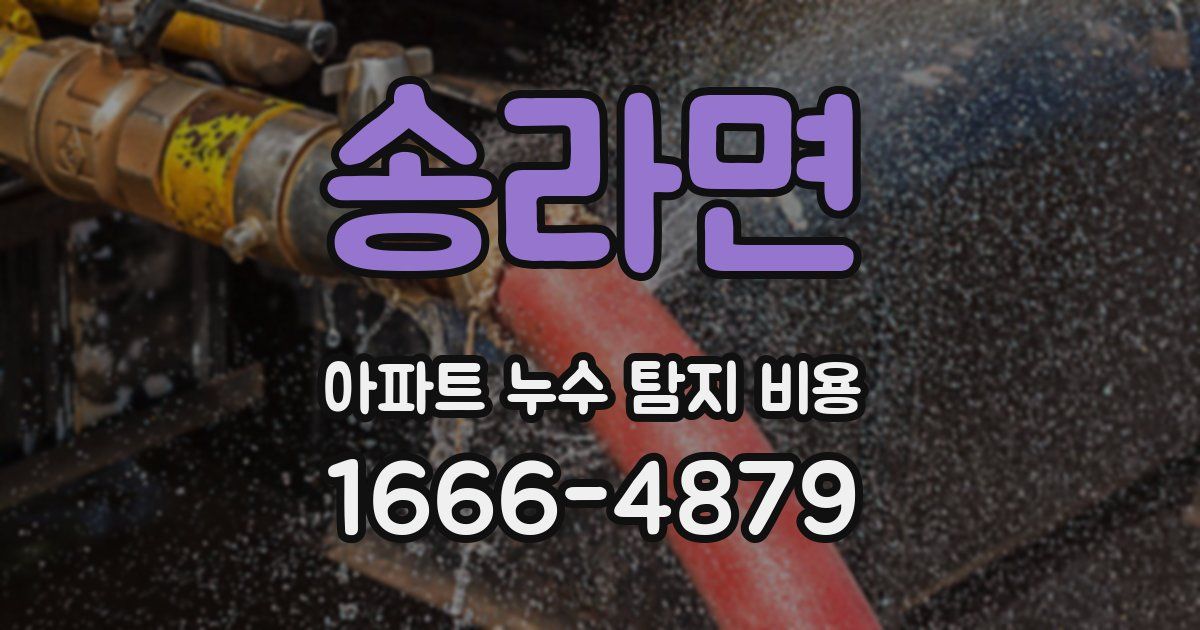 송라면 아파트 누수 탐지 비용