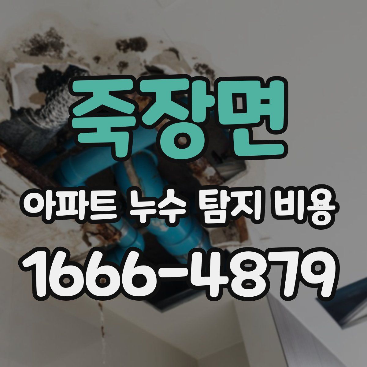죽장면 아파트 누수 탐지 비용