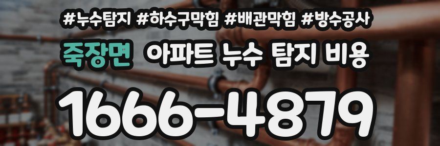 죽장면 아파트 누수 탐지 비용
