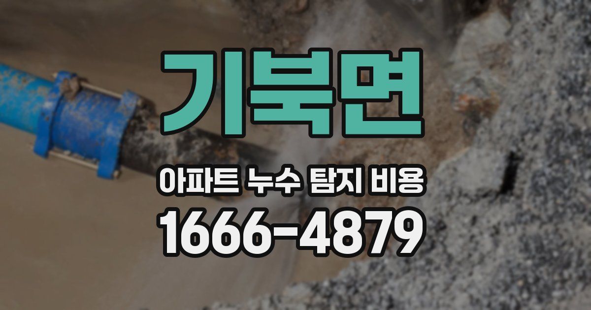 기북면 아파트 누수 탐지 비용