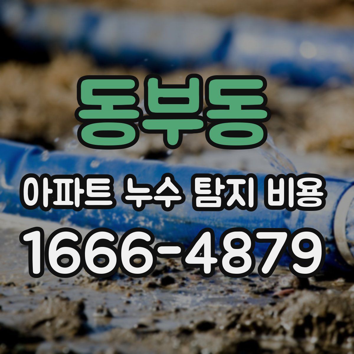 동부동 아파트 누수 탐지 비용